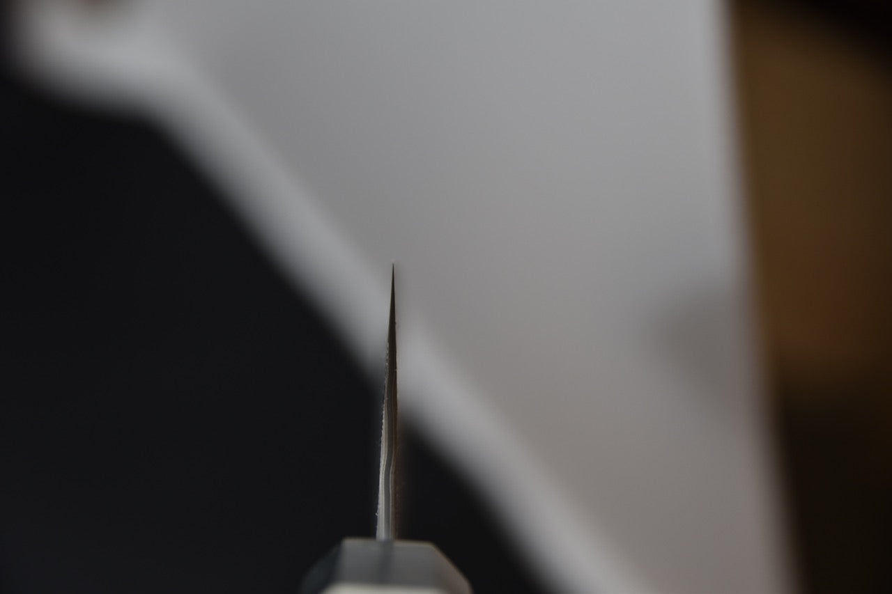 Nigara Hamono SG2 Anmon Damascus Kiritsuke Gyuto 210mm Bouleau