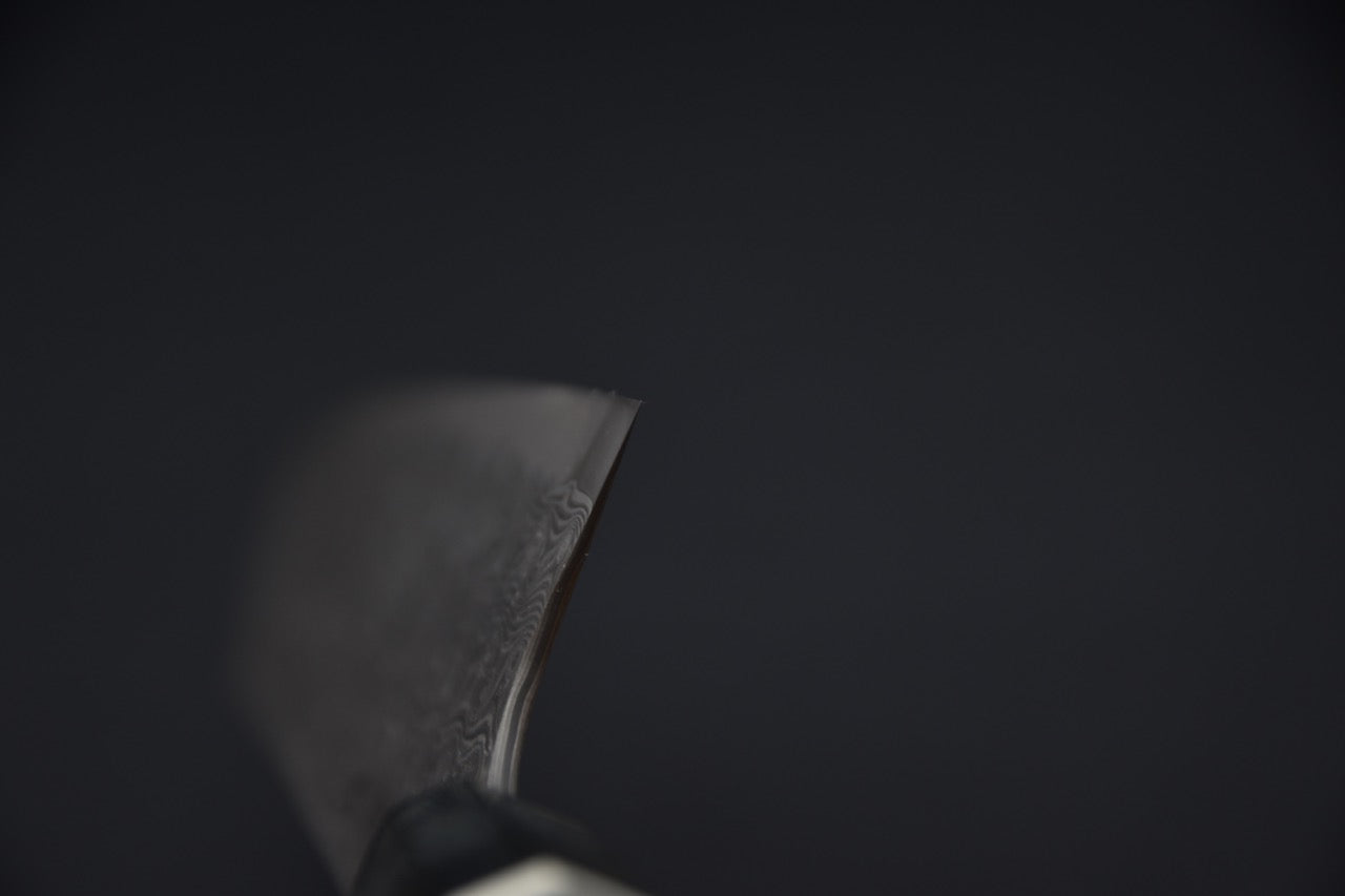 Nigara Hamono SG2 Anmon Damascus Kiritsuke Gyuto 210mm Bouleau