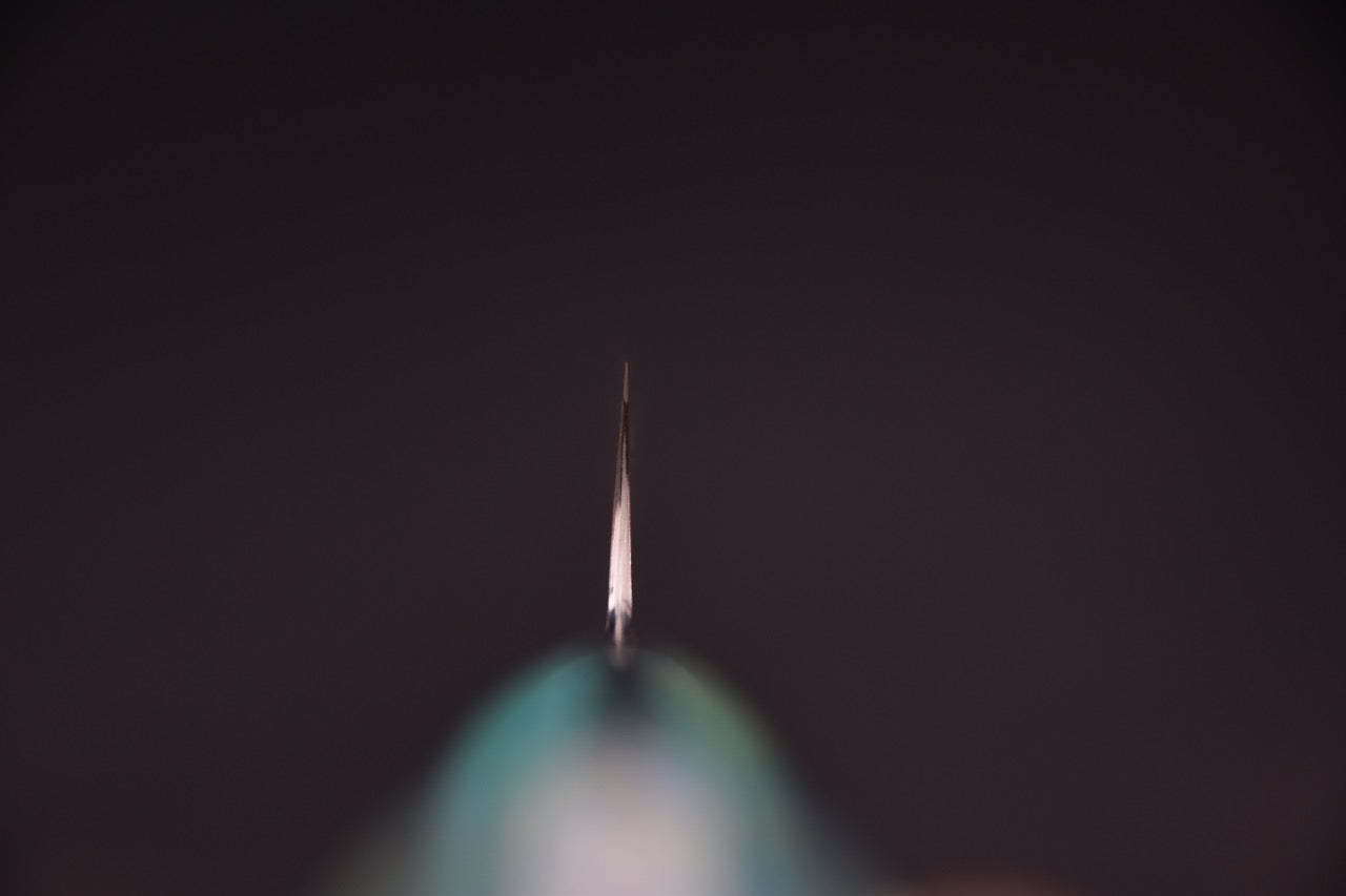 Nigara Hamono SG2 Anmon Sujihiki Sakimaru 300mm Neptune