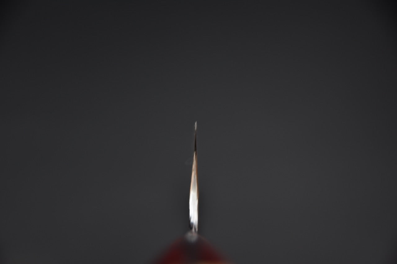 Nigara Hamono SG2 Kurouchi Tsuchime Gyuto 210mm Momiji