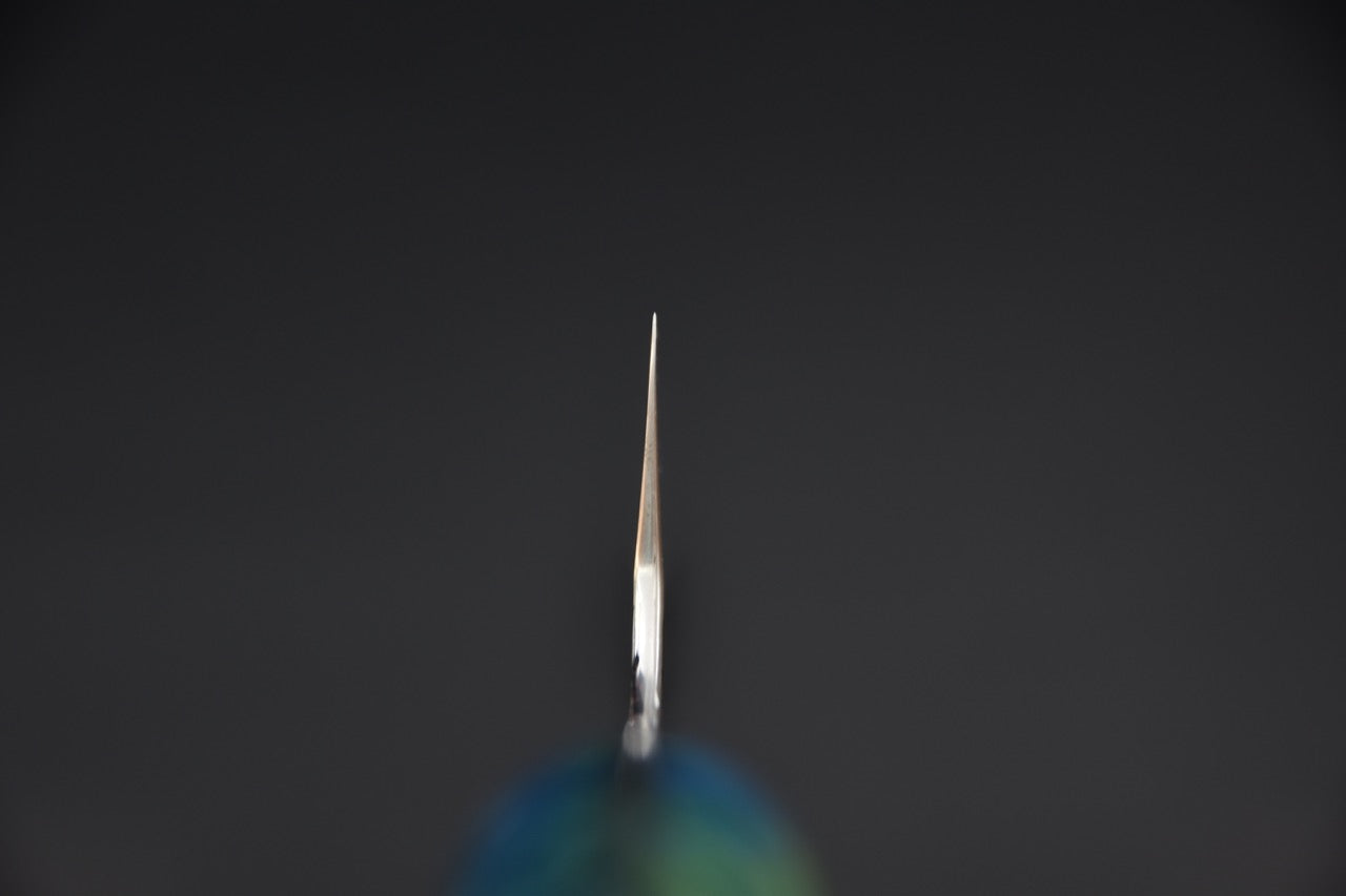 Nigara Hamono SG2 Kurouchi Tsuchime Gyuto Kiritsuke 210mm Aoshio