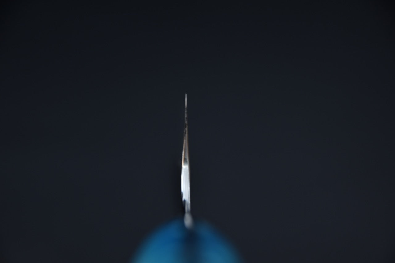 Nigara Hamono SG2 Kurouchi Tsuchime Gyuto Kiritsuke 210mm Winter Storm