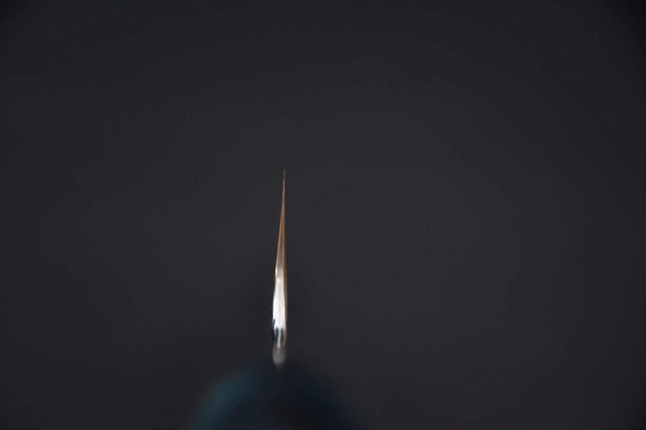 Nigara Hamono SG2 Migaki Tsuchime Gyuto 210mm Tempête Hivernale