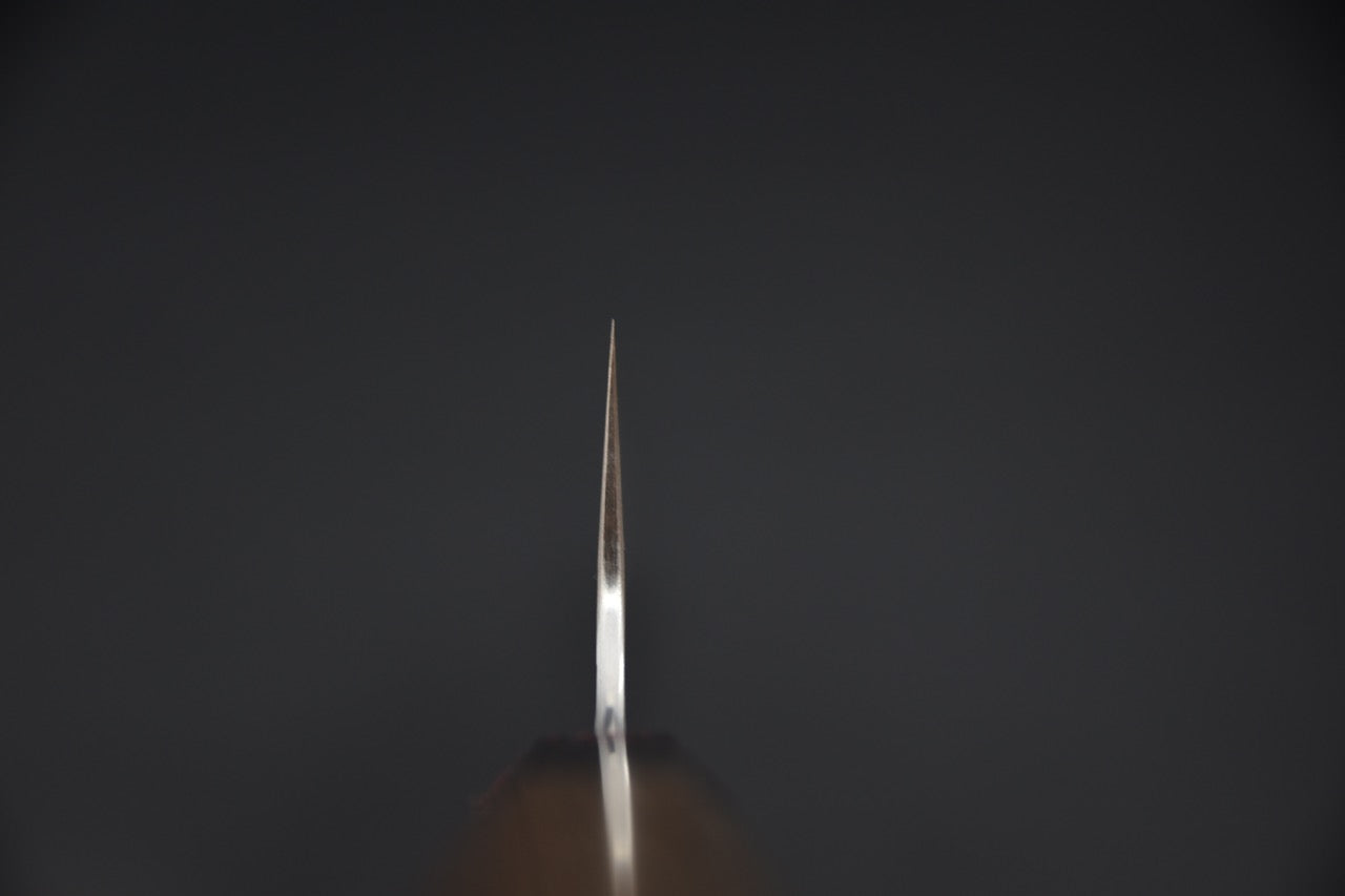 Nigara Hamono SG2 Migaki Tsuchime Gyuto 240mm Tagayasan