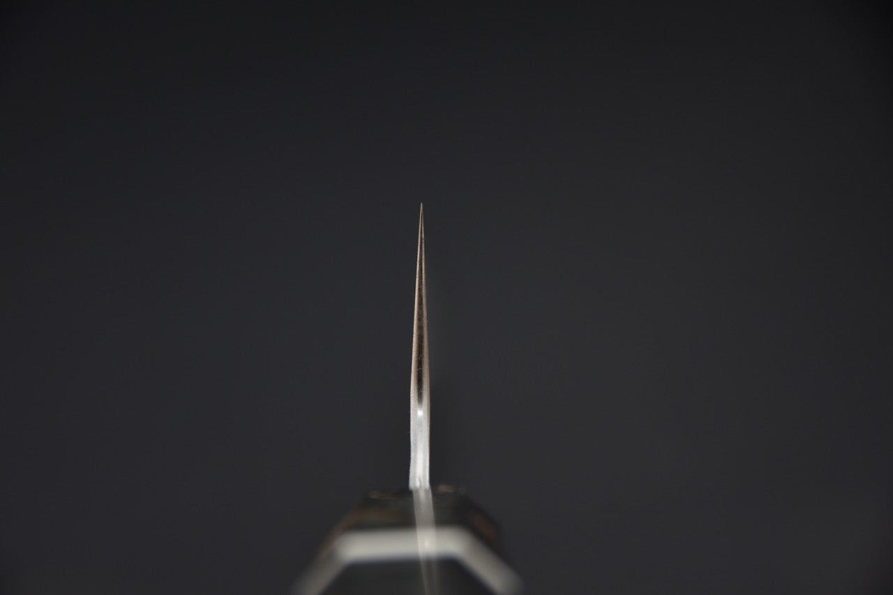 Nigara Hamono SG2 Migaki Tsuchime Kiritsuke Gyuto 210mm Bouleau