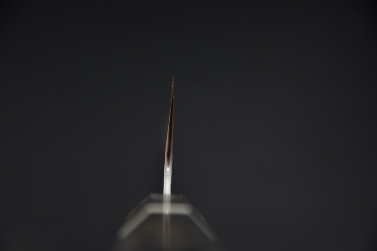 Nigara Hamono SG2 Migaki Tsuchime Kiritsuke Gyuto 240mm Bouleau