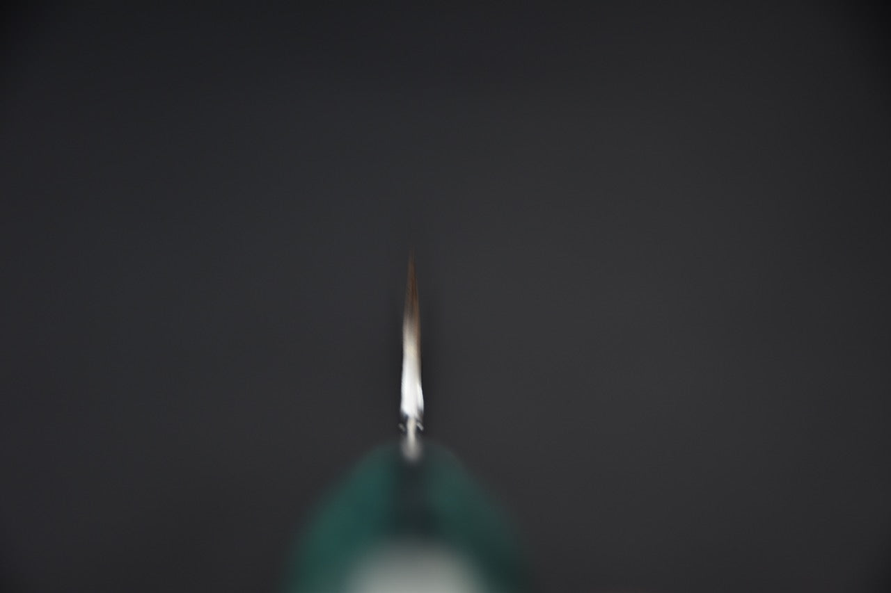 Nigara Hamono SG2 Tsuchime Kurouchi Sujihiki Sakimaru 270mm Turquoise