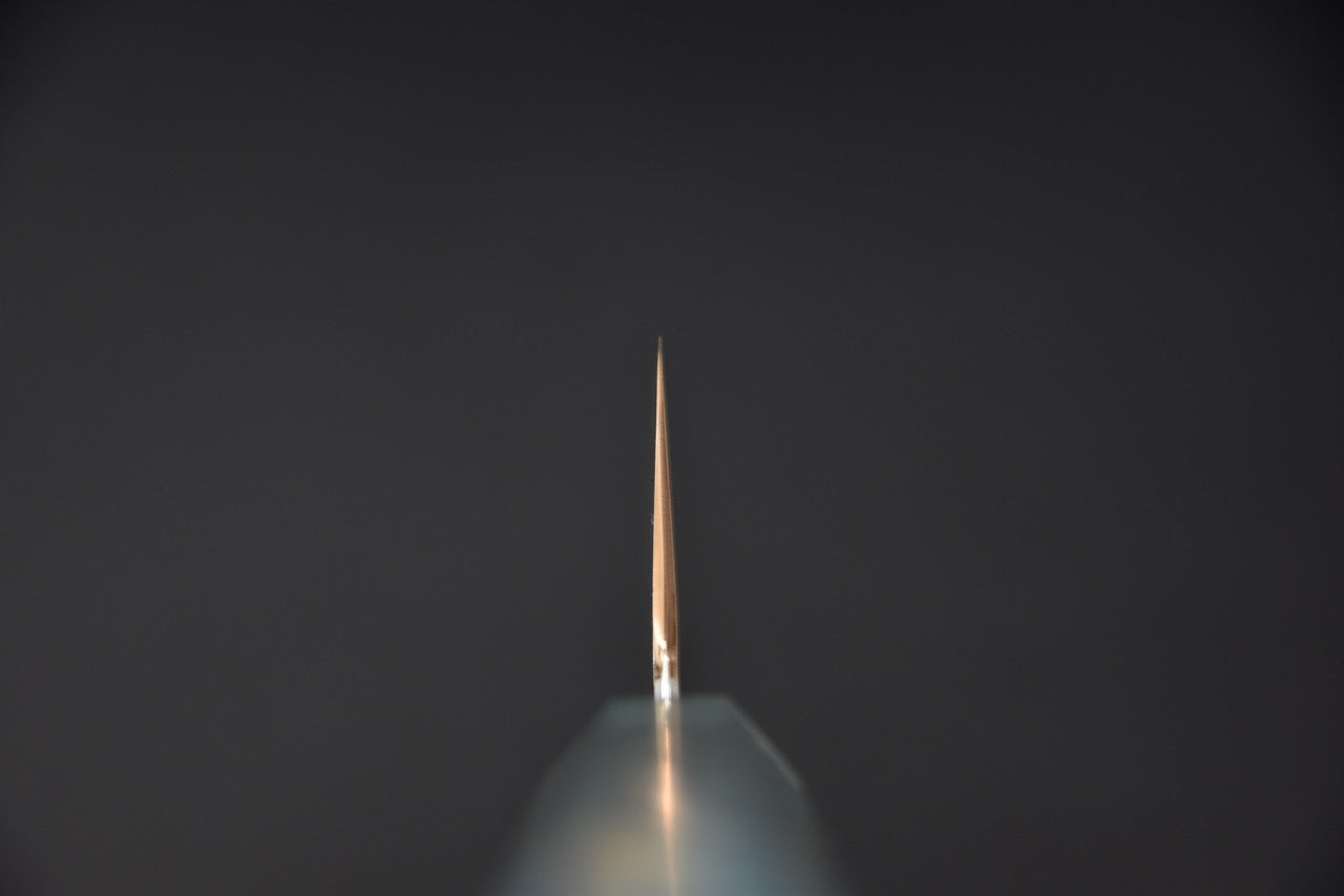 Hado Shiosai SG2 Kiritsuke Gyuto 210mm