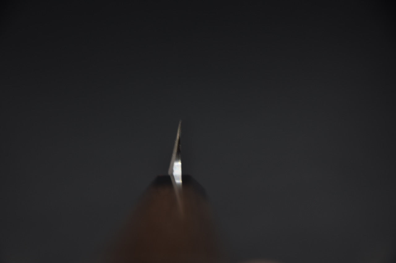 Shirasagi Shirogami #2 Sakimaru Yanagiba 270mm Tagayasan