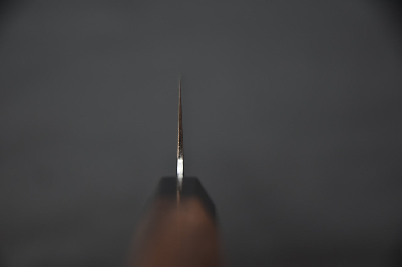 Tetsujin Aogami #2 Kasumi Gyuto 210mm Taihei Bois de Rose