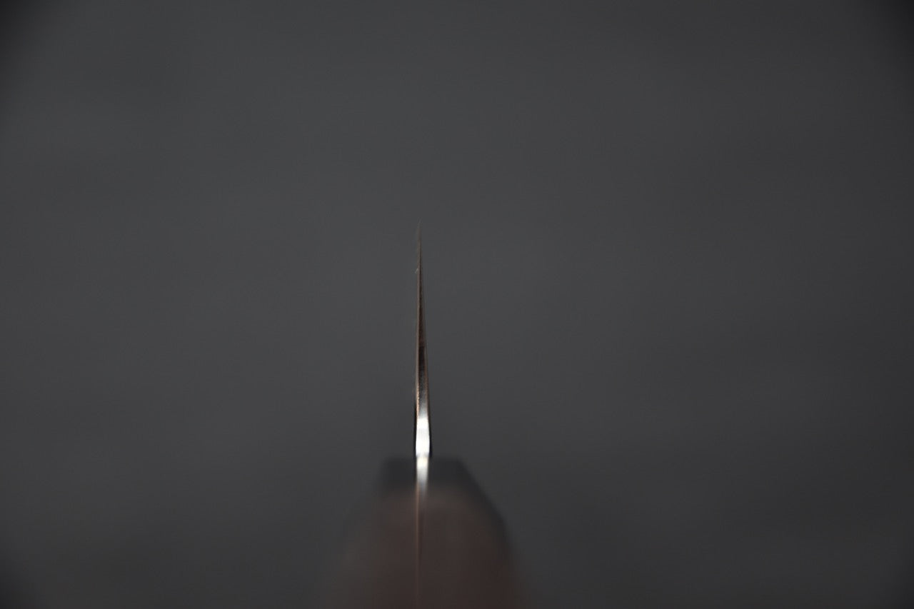 Tetsujin Aogami #2 Kasumi Kiritsuke Gyuto 210mm Taihei