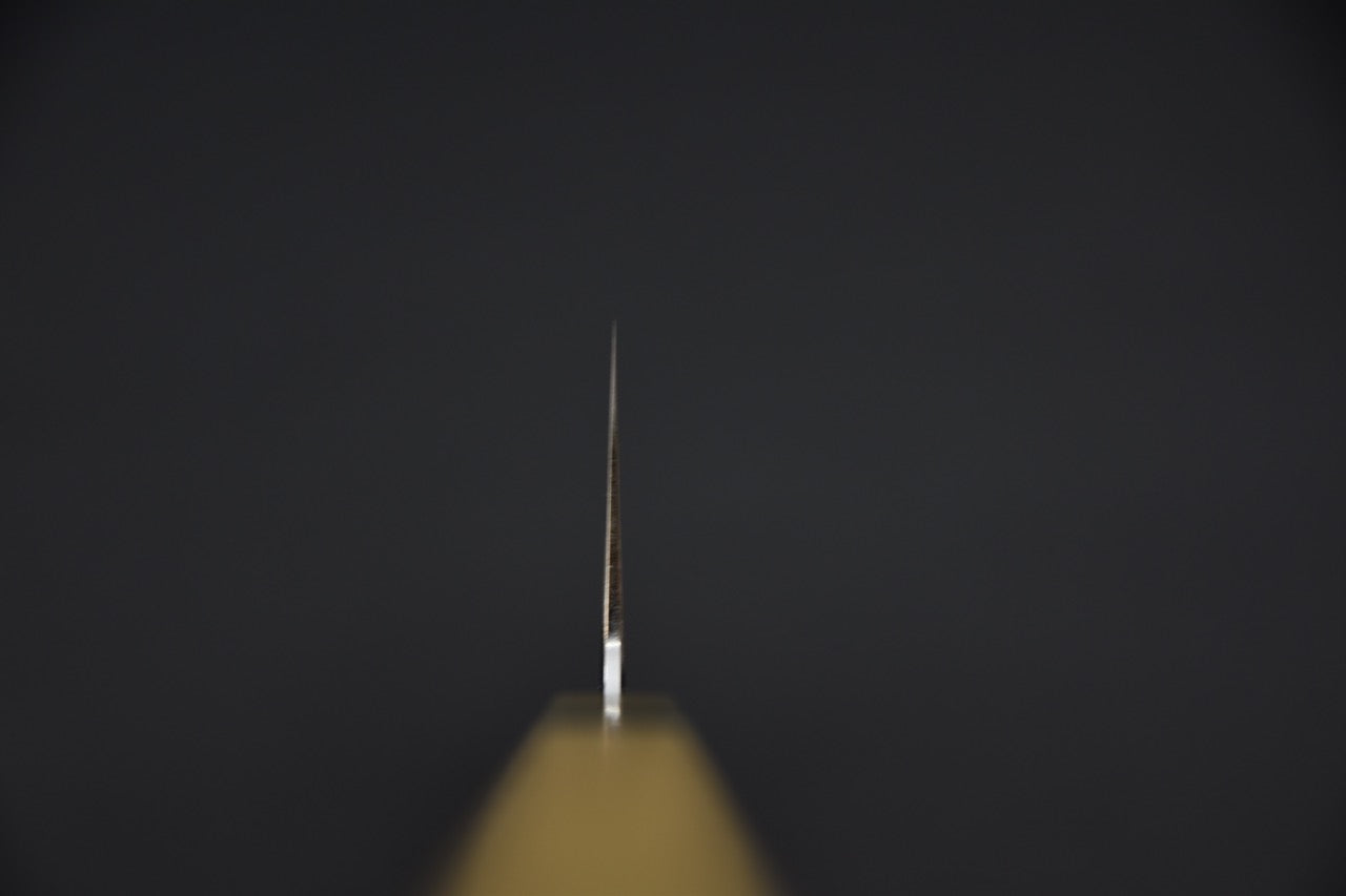 Tetsujin Aogami #2 Kasumi Nakiri 180mm Ho