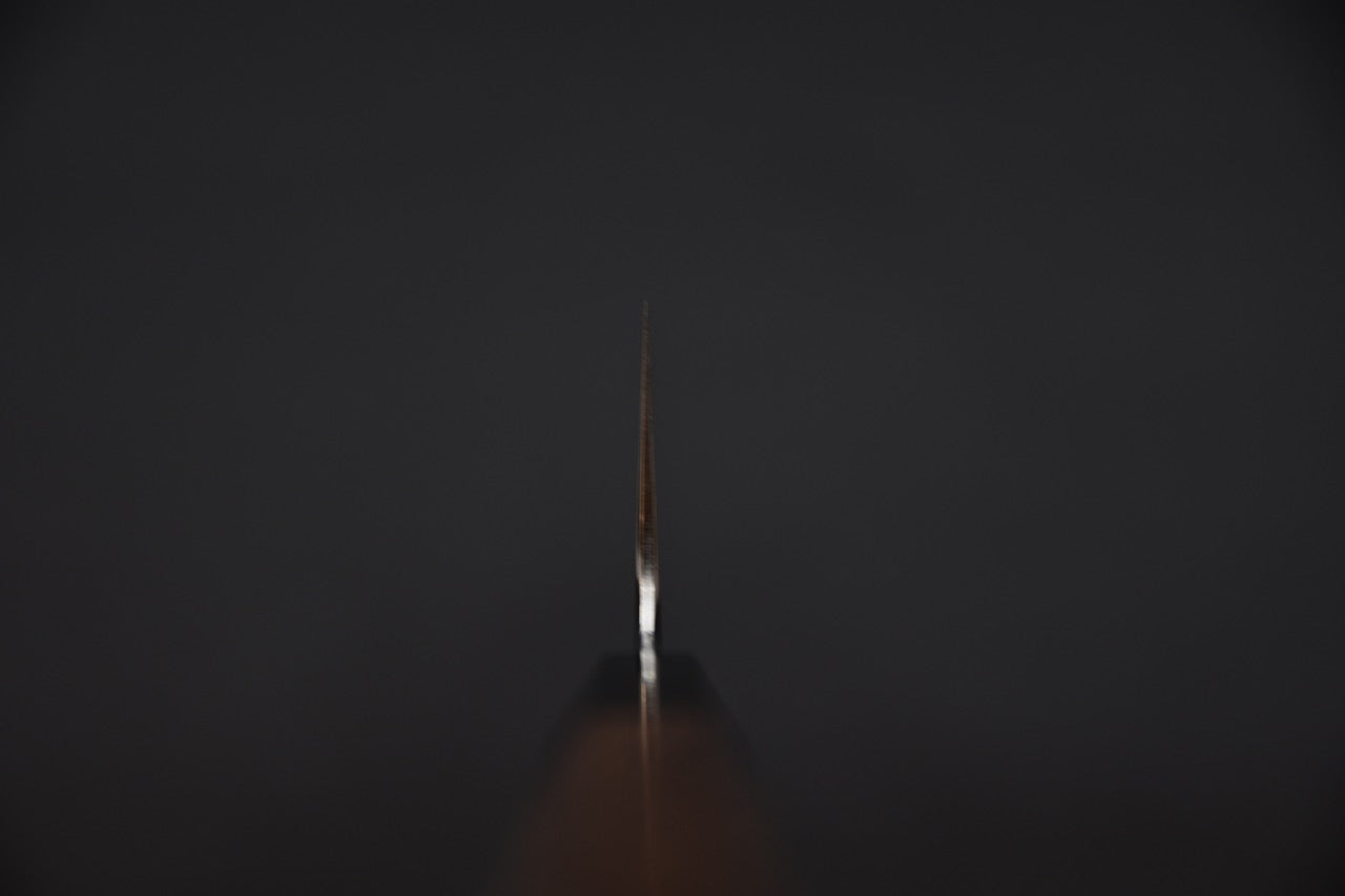 Tetsujin Ginsan Ukiba Gyuto 210mm Taihei Tagayasan