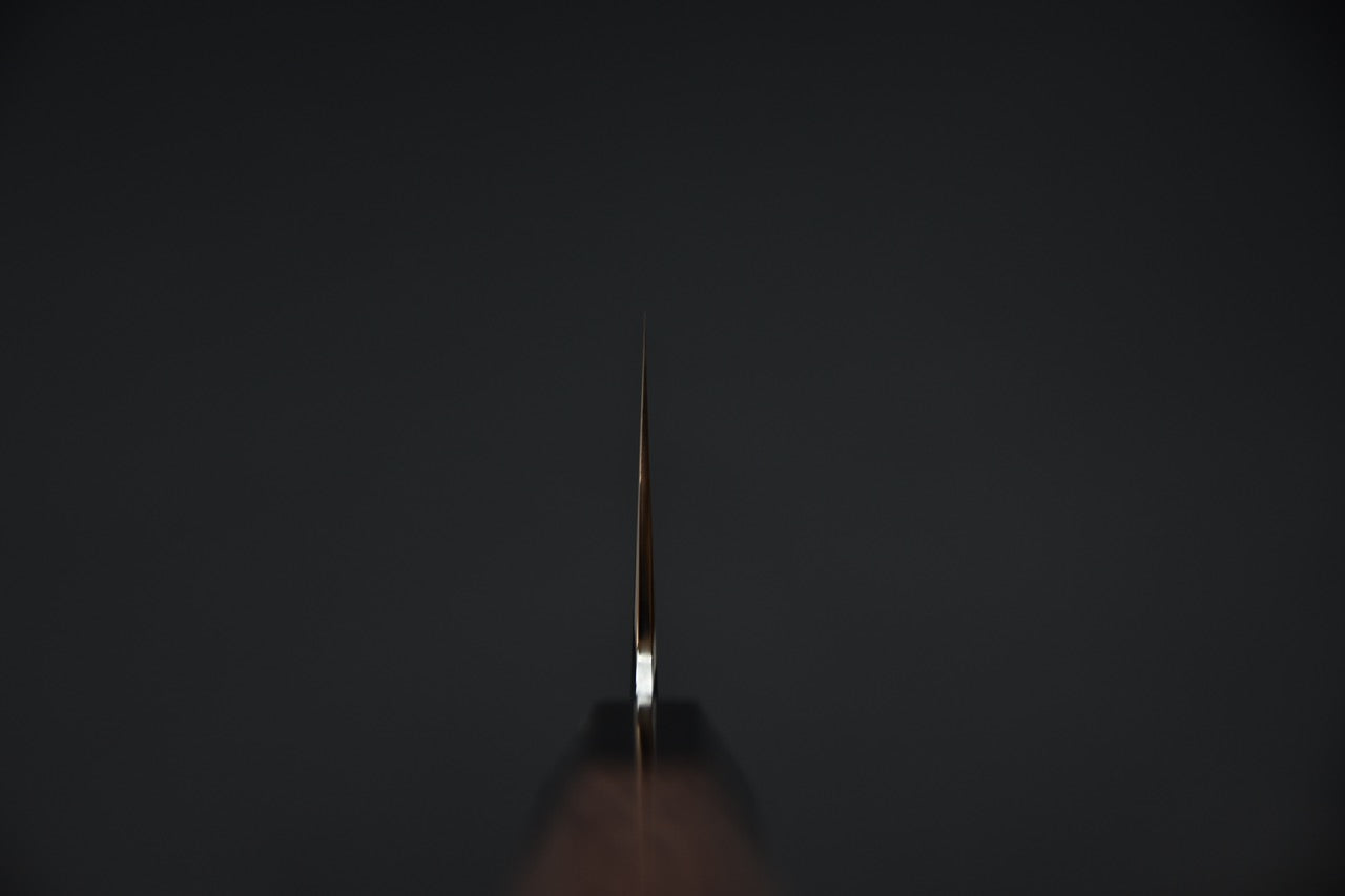 Tetsujin Ginsan Ukiba Gyuto 240mm Taihei Tagayasan