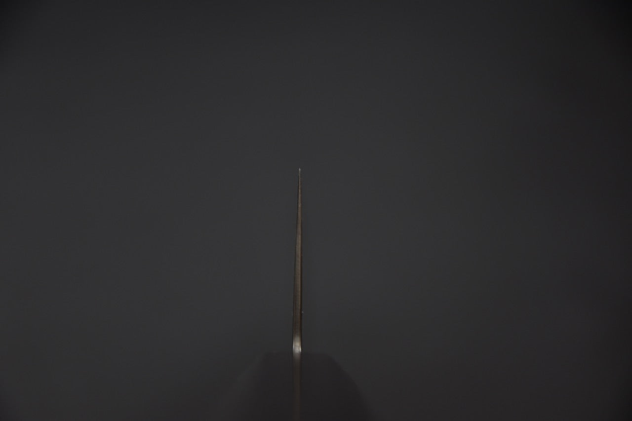 Hatsukokoro gyuto — couteau japonais posé à plat, vue d'ensemble