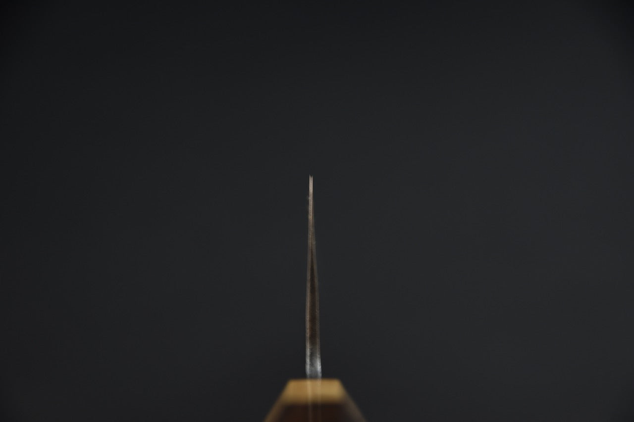Couteau japonais gyuto — vue d'ensemble, manche tagayasan et lame nashiji
