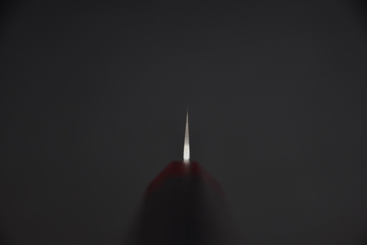 Hitohira T10 petty couteau japonais — vue de la pointe fine en contre-jour