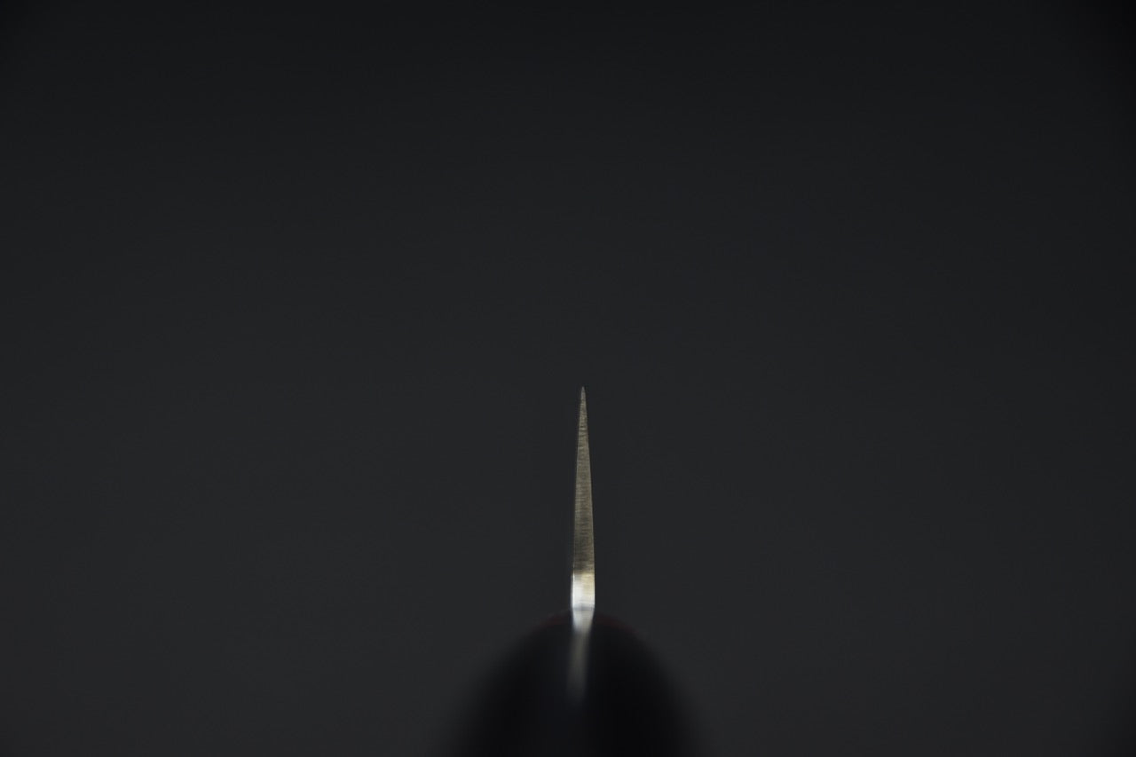 Lame de couteau japonais vue de face