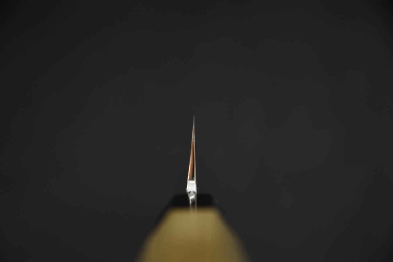 Hitohira Nakagawa couteau japonais 180 mm Ginsan — vue d'ensemble sur fond neutre