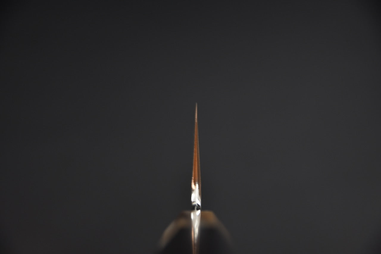 Hitohira gyuto 210 mm — vue d'ensemble, manche en ébène et lame SPG Strix
