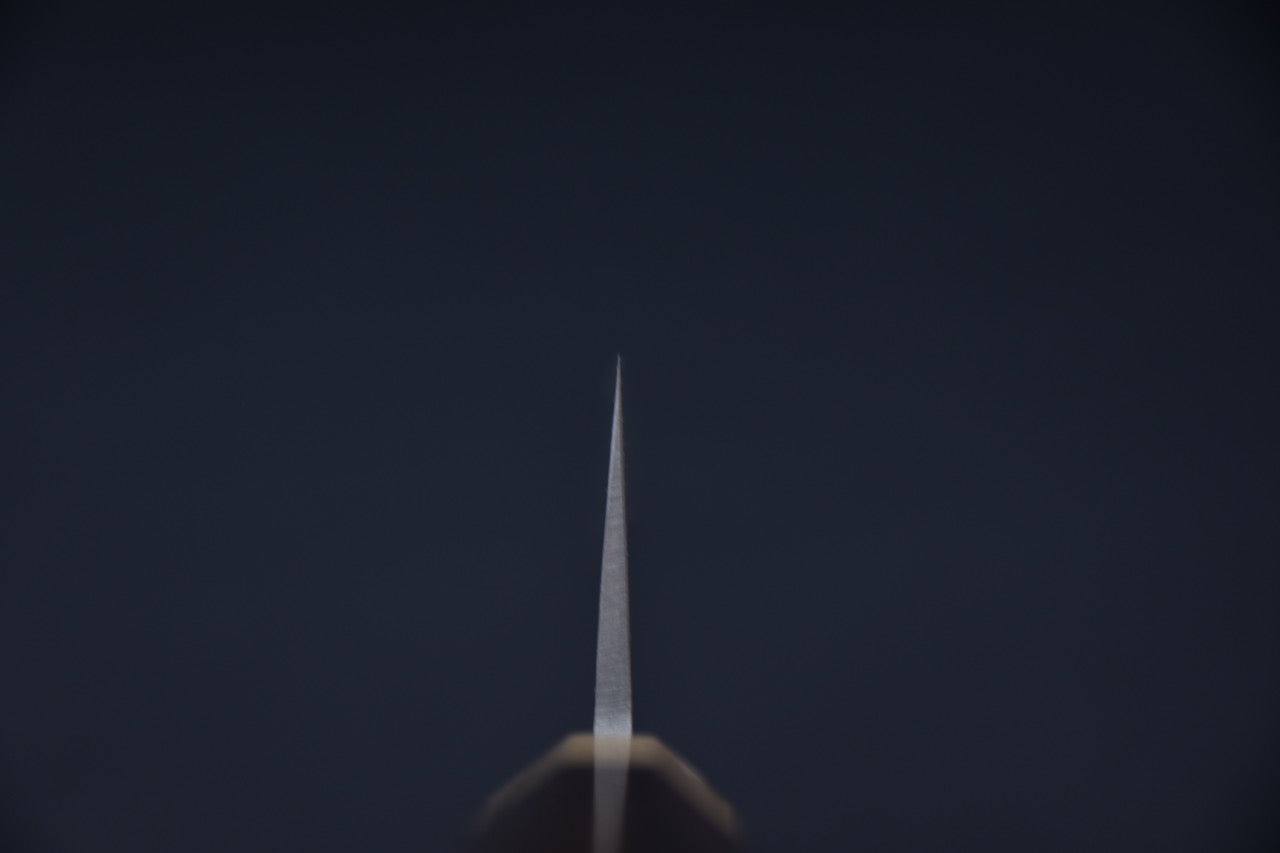 Hitohira TD Aogami #2 Kurouchi Nakiri 165mm Tagayasan