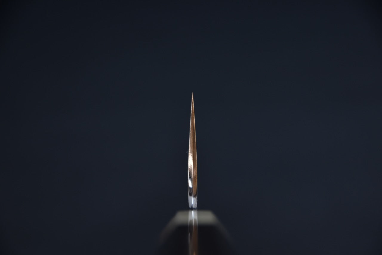 hitohira-togashi-aogami-2-kurouchi-gyuto-240mm-ébène_9.jpeg,Hitohira Togashi Aogami #2 Kurouchi Gyuto 240mm Ébène - vue 9
