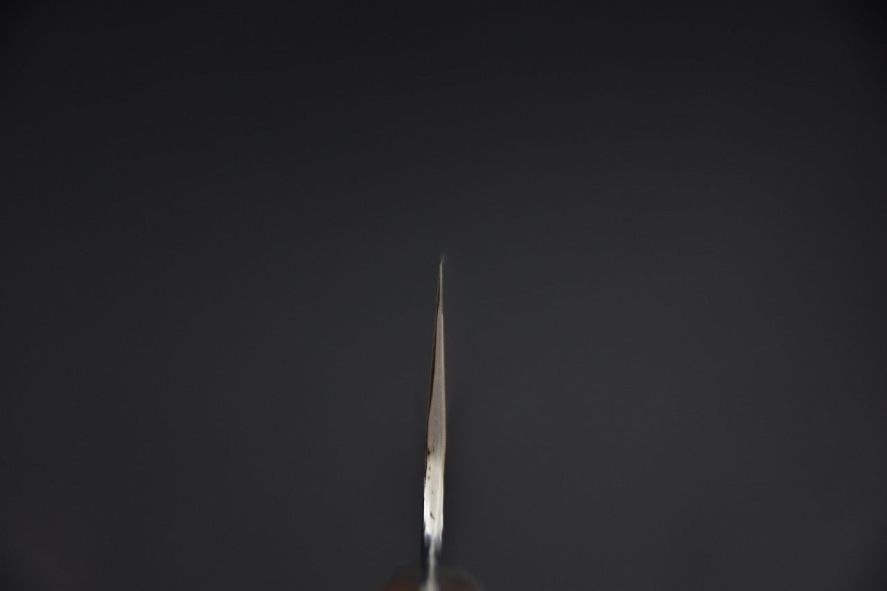 Couteau japonais nakiri SG2 — vue de la pointe k-tip en contre-plongée, profil du biseau visible