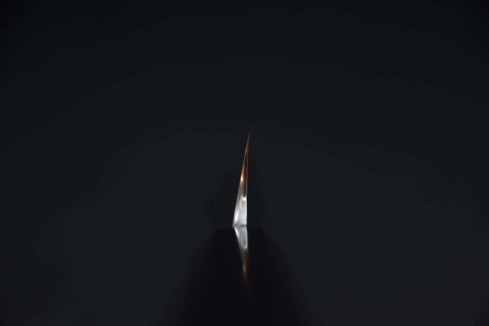 Nigara Hamono Anmon Ginsan Yanagiba 270mm Miroir Ébène