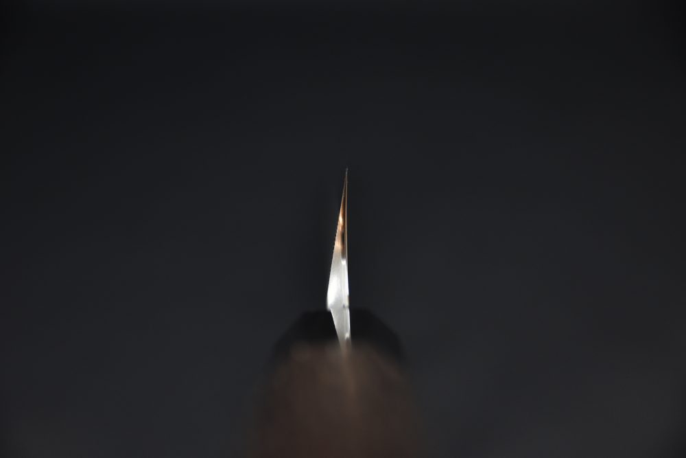 Nigara Hamono Anmon Ginsan Kiritsuke Yanagiba 300mm Miroir Tagayasan