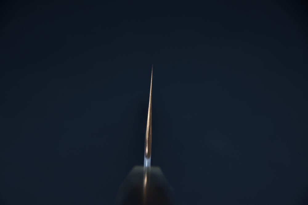 Hitohira Tanaka Kyuzo Aogami #1 Migaki Bunka 180mm Ziricote