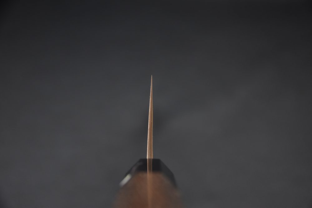 Goko Hamono Nashiji Shirogami Stainless Clad #1 Gyuto 240mm Tagayasan