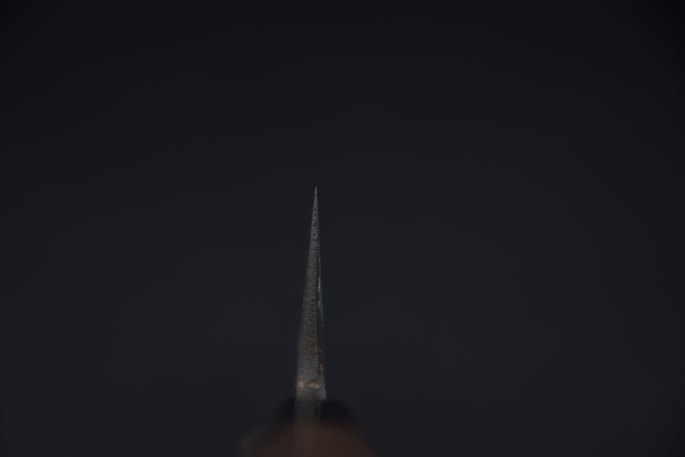 Hatsukokoro Yoake Aogami #1 Kurouchi Gyuto 240mm Wenge