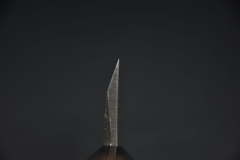 Hatsukokoro Shirasagi Kurouchi Aogami #2 Tsuchime Deba 150mm Wenge