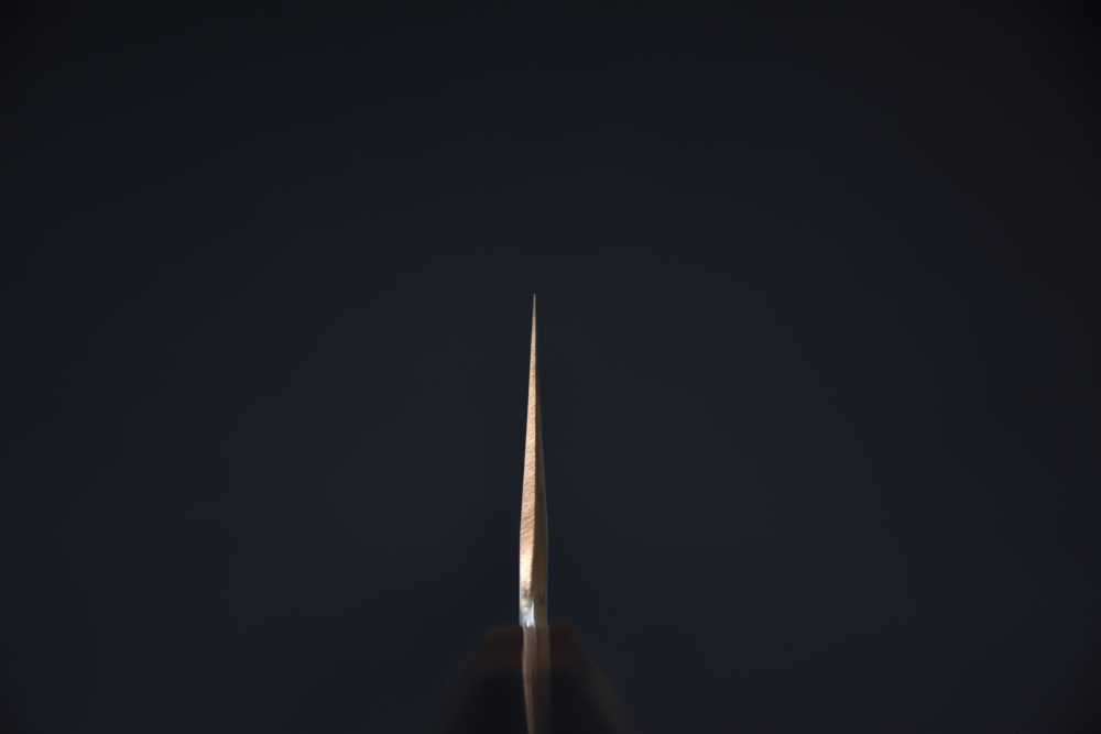 Hitohira Tanaka Kyuzo Aogami #1 Stainless Clad Gyuto 240mm Taihei Ebony