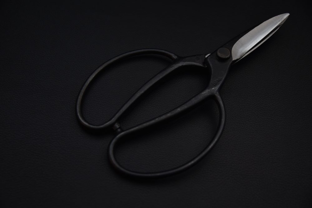 Kinboshi Ciseaux de jardinage