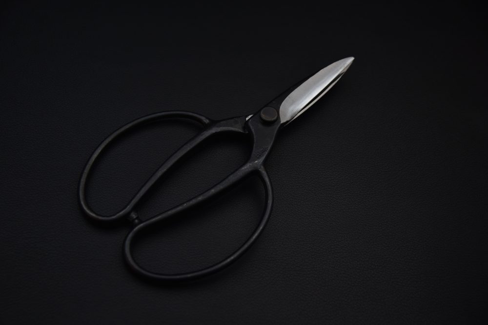 Kinboshi Ciseaux de jardinage