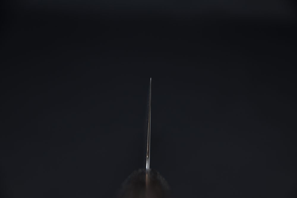 Hitohira Futana Nickel Damascus Gyuto 240mm Tagayasan