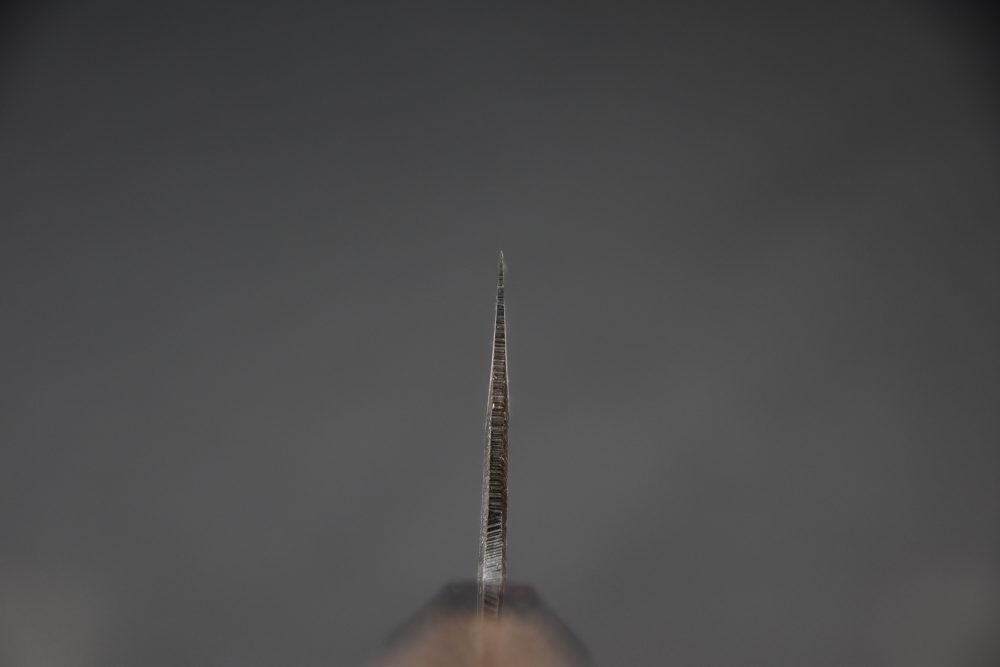 Hatsukokoro Kumokage Aogami #2 Damascus Kurouchi Gyuto 240mm Tagayasan