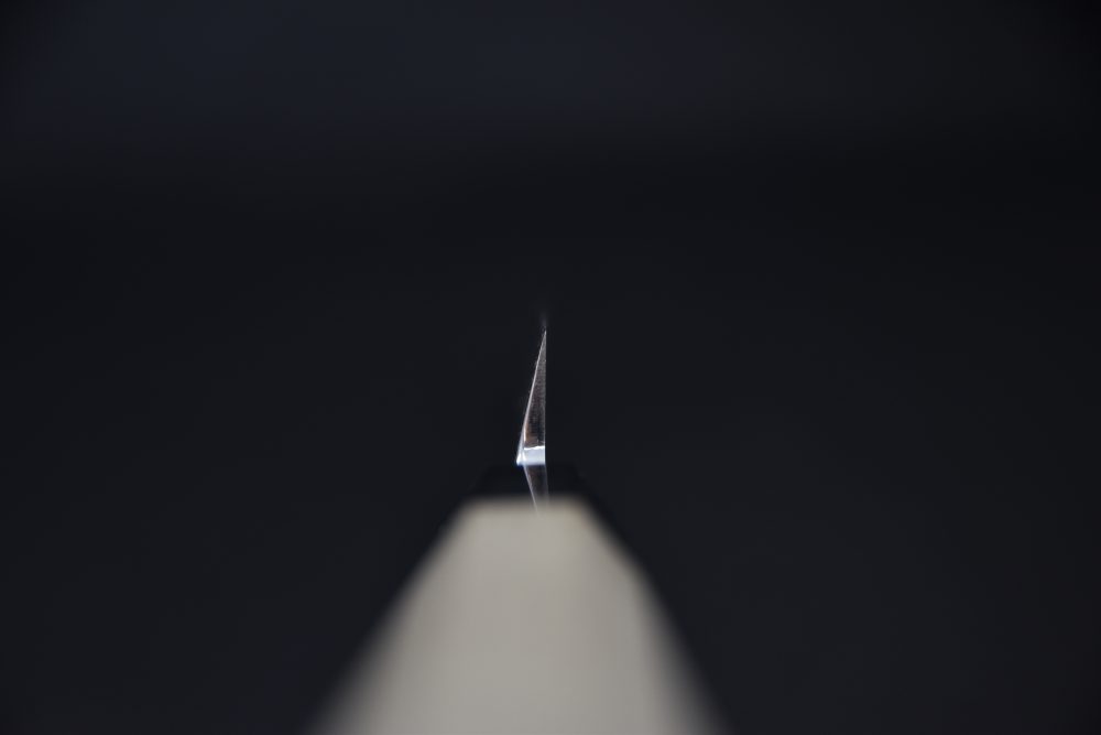 Hitohira Kikuchiyo Manzo Aogami #2 Takobiki 300mm Ho