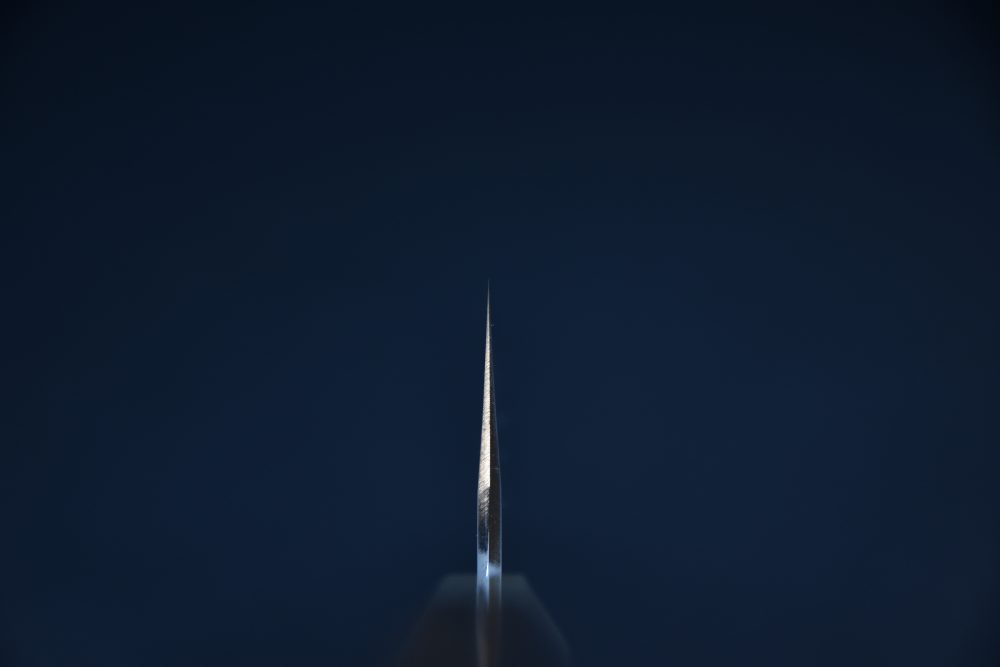 Hitohira Tanaka Kyuzo Aogami #1 Stainless Clad Gyuto 240mm Ziricote