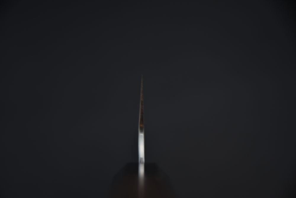 Nigara Hamono SG2 Migaki Tsuchime Kiritsuke Gyuto 210mm Tagayasan_8