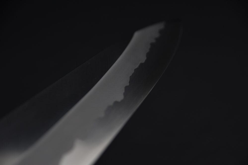 Hitohira Tanaka Kyuzo Aogami #1 Stainless Clad Gyuto 240mm Ziricote