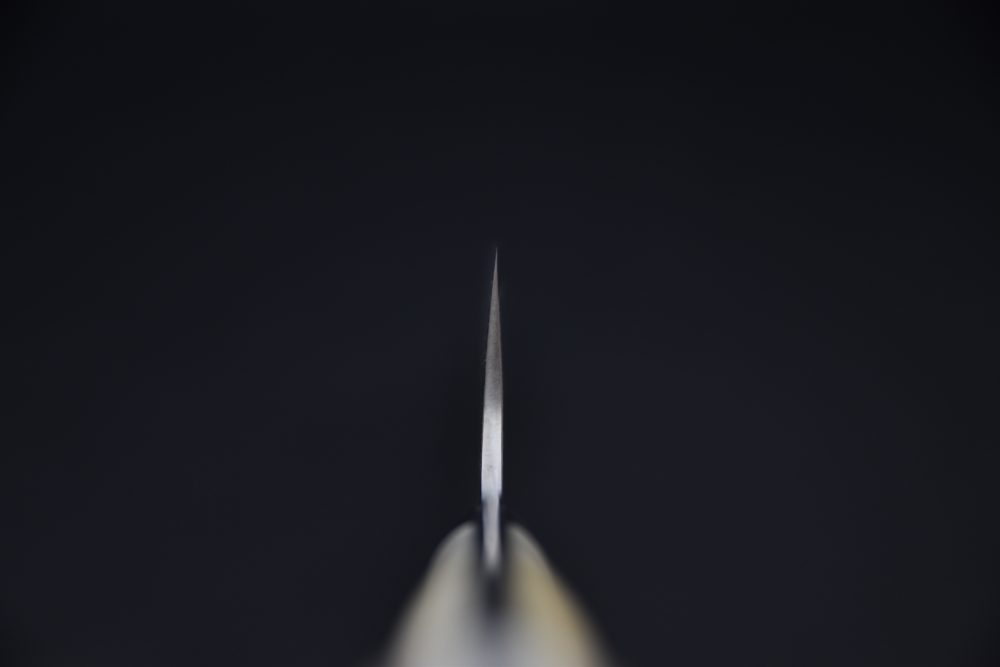 Takeshi Saji R2 Damascus Gyuto 240mm Corne De Cerf