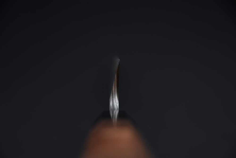 Nigara Hamono Troll killer Aogami #2 Damascus Yanagiba 300 Karin