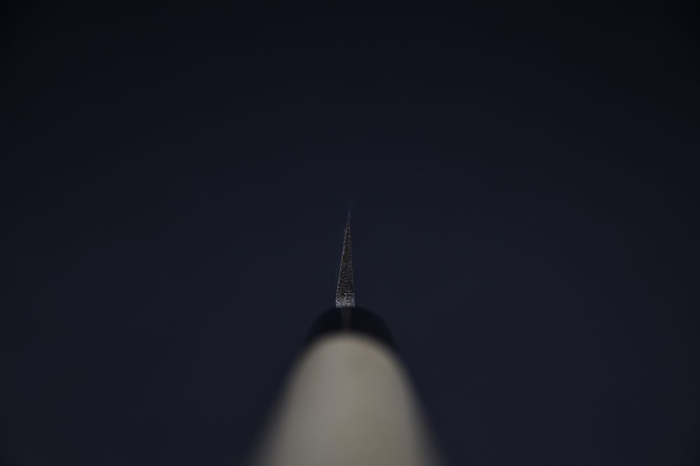 Hitohira Gorobei Aogami #2 Yanagiba 210mm Ho