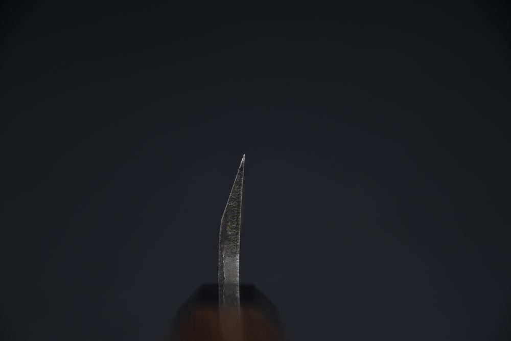 Hatsukokoro Shirasagi Kurouchi Aogami #2 Tsuchime Honesuki 150mm Tagayasan