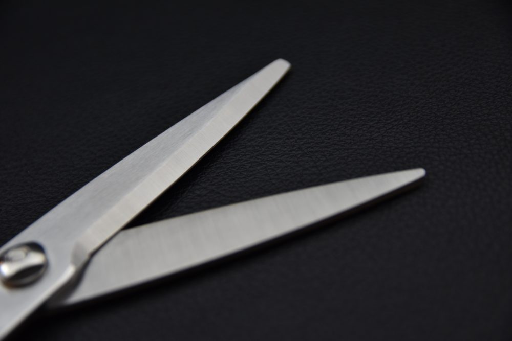 Toribe Stainless Kitchen Scissors