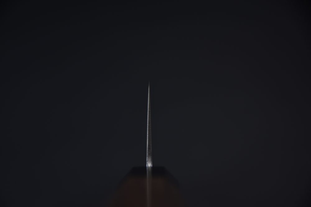 Hatsukokoro Hayabusa ZDP-189 Migaki Gyuto 210mm Wenge