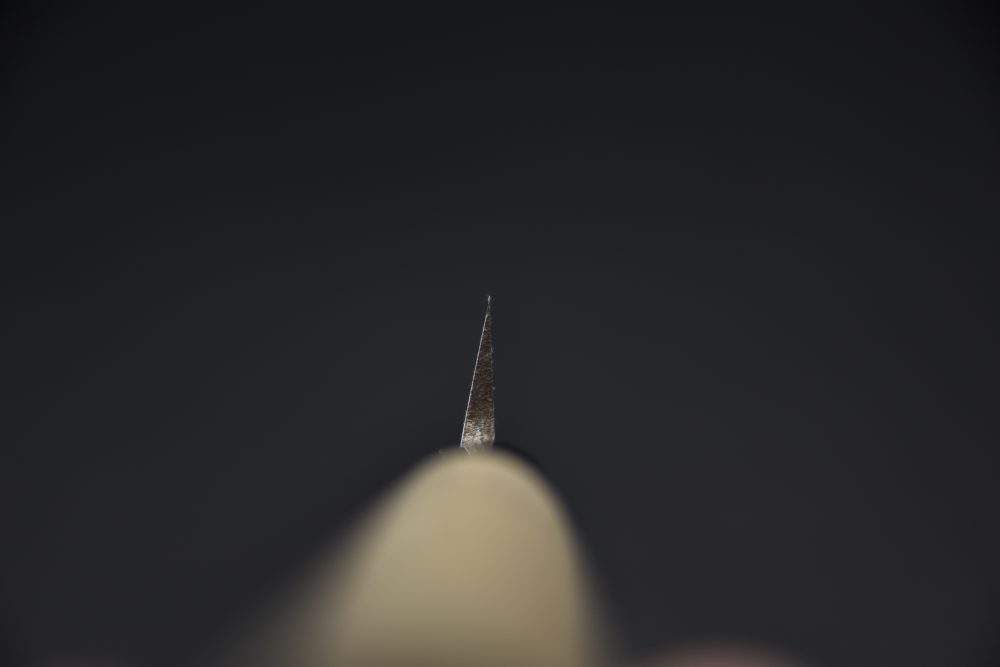 Hitohira Gorobei Aogami #2 Yanagiba 270mm Ho