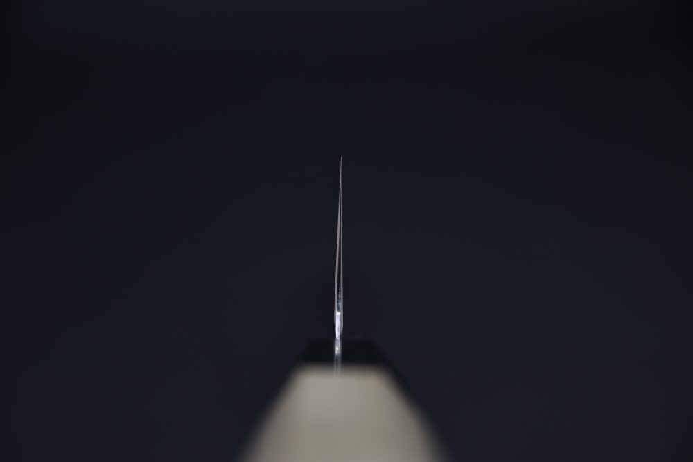 Hitohira FJ VG-10 Gyuto 210mm Ho (Wa)